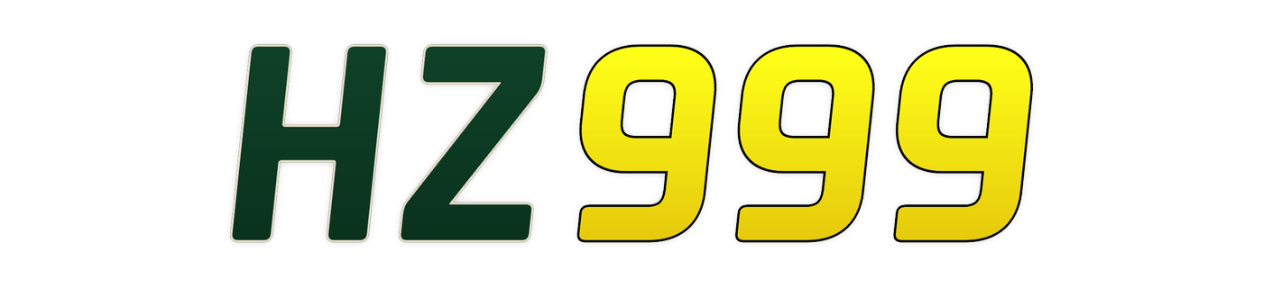 hz999
